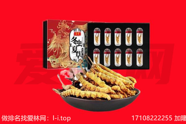 忻州五寨县回收虫草.jpg